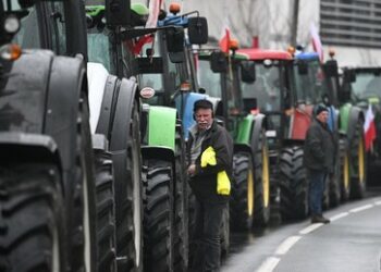 Polen: Bauern starten Protestmonat, Minister fordert Blockade für ukrainisches Getreide