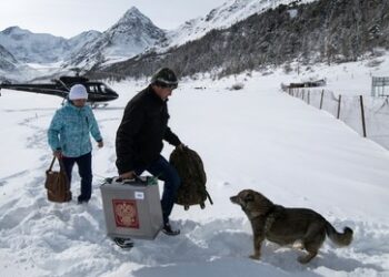 Präsidentenwahl in Russland: Beginn der vorzeitigen Stimmabgabe an schwer zugänglichen Orten