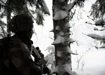 Putin zu Carlson: "Russland hat nicht die Absicht, die NATO anzugreifen"