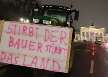 Rügemer: "Die EU und die Grünen treiben die ökologische bäuerliche Landwirtschaft in den Ruin"