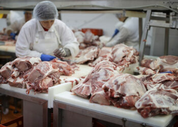 Sanktionsbumerang? Russisches Schweinefleisch verdrängt kanadisches auf dem Markt Chinas