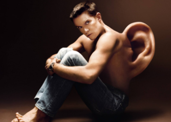 Schweine zu künftigen Organspendern für Menschen genmanipuliert