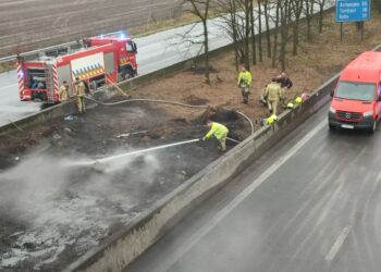 Unternehmensberater: Politik gefährdet Ernährungssicherheit ‒ Bürger werden darüber nicht informiert