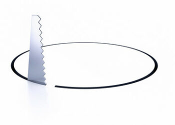 Wegen Israel-Kritik:  Max-Planck-Gesellschaft wirft renommierten Professor raus