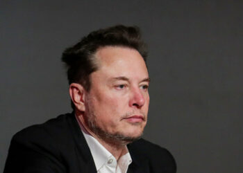 "Im ganzen Land brechen die Dämme": Musk kritisiert die Grenzsicherung zwischen den USA und Mexiko