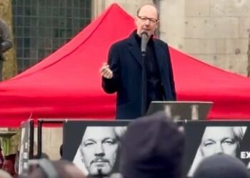 "Regelbasierte Ordnung, my Ass!" – EU-Abgeordneter Sonneborn zur Assange-Verhandlung in London