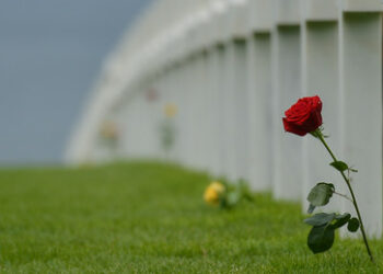 Britischer Söldner nach Rückkehr aus Ukraine zu Hause tot aufgefunden