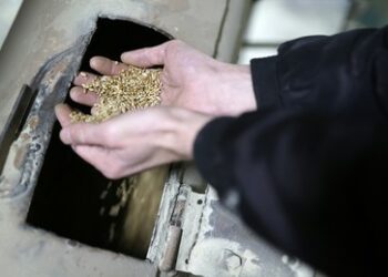 EU: Zölle auf russisches Getreide, warum eigentlich?