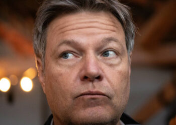 Habeck unplugged Teil 2: Das Denken und die Wirklichkeit