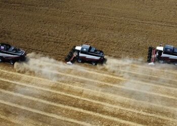 Medien: EU will Zollgebühren für Getreide aus Russland und Weißrussland