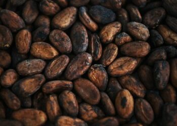 Nicht mehr schokoladig: Schokohersteller ändern Rezepturen wegen steigender Kakaobohnenpreise