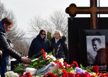 Putin stimmte Austausch von Nawalny gegen im Westen inhaftierte Gefangene zu