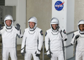 Russe Grebjonkin fliegt mit Crew Dragon ins All