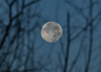 Russland will gemeinsam mit China Forschungsstation auf dem Mond errichten