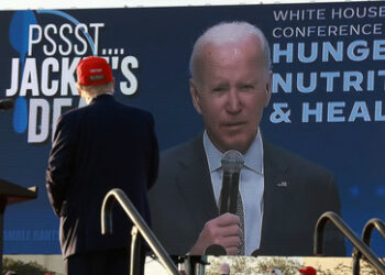 Showtime US-Wahlkampf:  Biden und Trump haben bereits genügend Stimmen für ihre Nominierung