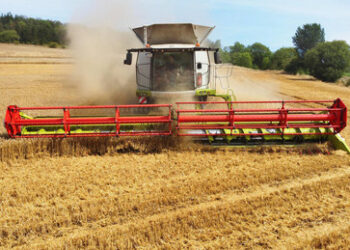 Ungarn stellt sich quer: Weiter keine zollfreie Einfuhr von ukrainischem Getreide