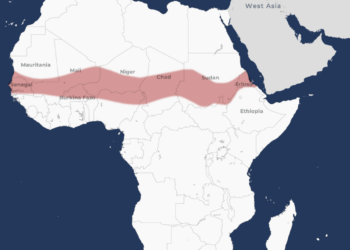 Afrika im Aufbruch: Die Achse des Widerstands in der Sahelzone