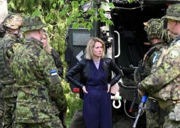 Estland macht den Rammbock gegen Russland und entwertet damit Artikel 5 der NATO