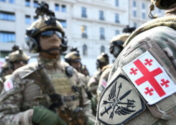 Parlamentssprecher: "Freunde und Feinde" wollen, dass Georgien Truppen in die Ukraine schickt