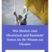 Schweiz: "Fight Putin Volunteers" – Ukraine-Propaganda mit Sprachtest als politischem Werkzeug