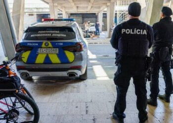 Slowakischer Politiker: Fico-Attentäter ist ein proukrainischer Terrorist aus Lager der US-Medien