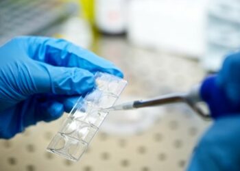 Cholera-Ausbruch in Cherson: Russlands Aufsichtsbehörde richtet dringendes Ersuchen an WHO