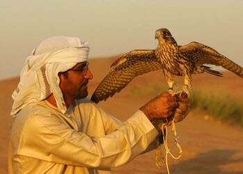 Der Ausstieg Saudi-Arabiens aus dem Petrodollar: Ein Paradigmenwechsel im globalen Finanzwesen