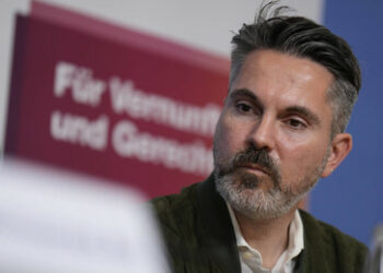 Fabio De Masi zur Freilassung von Julian Assange: Baerbocks Rolle muss kritisch aufgearbeitet werden