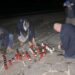 Gegen die Verfälschung des Geschichtsbildes: "Kerzen des Gedenkens" im Treptower Park