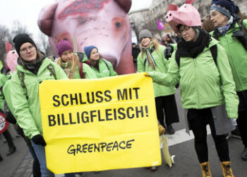 Greenpeace fordert drastische Reduktion des Fleischverkaufs