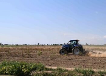 Neu-Delhi reagiert auf den barbarischen Tod eines indischen Landarbeiters in Italien