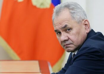 Putin ernennt Schoigu zum Koordinator für die Verteidigungsindustrie