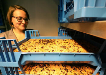 Wider die Natur und wider die Gesundheit  – WEF fordert mehr industrielle Nahrungsmittelproduktion