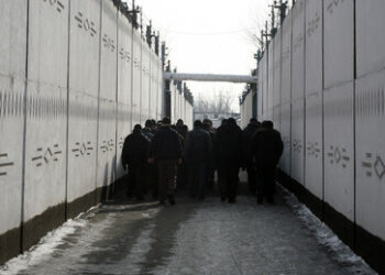 "Werden laufen wie Forrest Gump" – Ukrainische Armee rekrutiert tausende Kriminelle