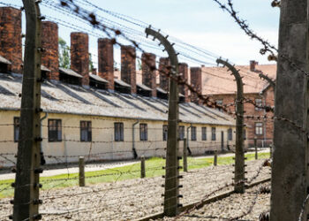Auschwitz-Museum reagiert auf ukrainischen Soldaten in Nazi-T-Shirt