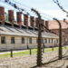 Auschwitz-Museum reagiert auf ukrainischen Soldaten in Nazi-T-Shirt