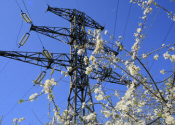 Baltikum wird Kappung der sowjetischen Energienetze teuer bezahlen