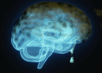 Die Biden-Regierung offenbart, wie verrottet die Hirne westlicher Liberaler sind