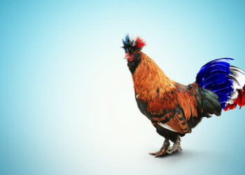 Ein genauer Blick auf die Wahlergebnisse in Frankreich: Ein Land wird unregierbar