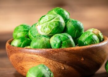 Gedanken des Balkonisten: Märchenhafter Wildwuchs oder Chaos im EU*ropischen Garten?