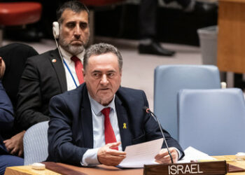 Israels Außenminister: Erdoğan könnte enden wie Saddam Hussein