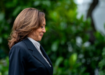 Kamala Harris - Die Vereinigten Staaten bekommen die perfekte Präsidentschaftskandidatin serviert