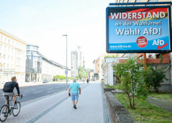 Sieg mit bitterem Beigeschmack: Viele Sitze der AfD in Sachen-Anhalts Landkreisen bleiben unbesetzt