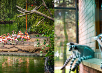 UBS verliert gegen Georgiens mächtigsten Mann