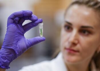 Akademie der Wissenschaften: Internationale Wissenschaftskooperation bleibt ungebrochen