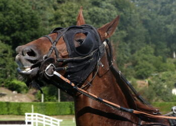 Annalena Baerbock und "Das Prinzip Hoffnung"