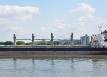 Argentinien stellt Frachtschiff wegen Affenpocken unter Quarantäne