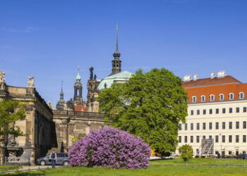 Dresden: 334.000 Euro für Pflanzenschmuck in temporärer Fußgängerzone