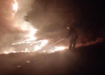 Flächenbrand auf der Krim – Einwohner müssen evakuiert werden