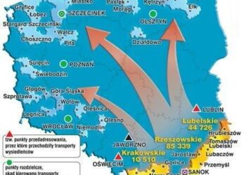 Keine Aussöhnung in Sicht – Kuleba schockiert Polen mit Aussagen zum Wolhynien-Massaker